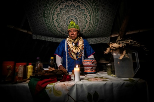 L'ayahuasca: un remède pour les chamans, une drogue pour le Mexique