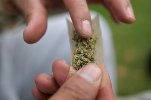 L'usage du cannabis est largement répandu en prison: un détenu sur quatre affirme en fumer quotidiennement, montre une étude de l'Observatoire français des drogues et des tendances addictives (OFDT)
