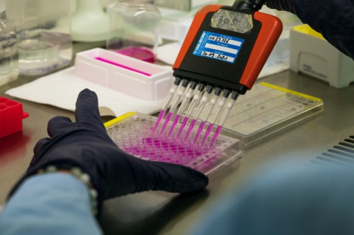 Un technicien réalise un test dans le laboratoire de la biothech Transgene, qui cherche à développer un vaccin contre le cancer, à Illkirch-Graffenstaden, en Alsace, le 17 novembre 2021
